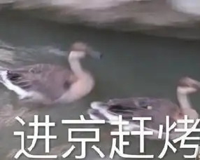 进京赶烤图片表情包大全
