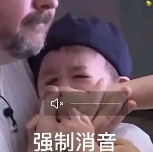 沙雕表情包文案
