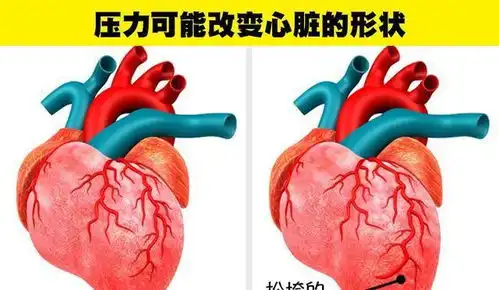 你的大脑扭曲了你的记忆关于人体的8个奇妙的冷知识

