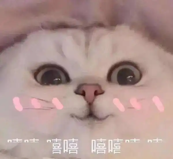福州一男子结婚第二天,老婆就跑了接下来尴尬了
