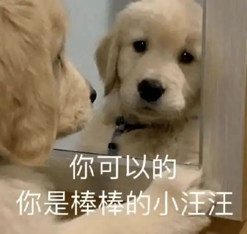 剃秃2cm发际线头顶冰淇淋是谁告诉赵露思这么做显脸小的
