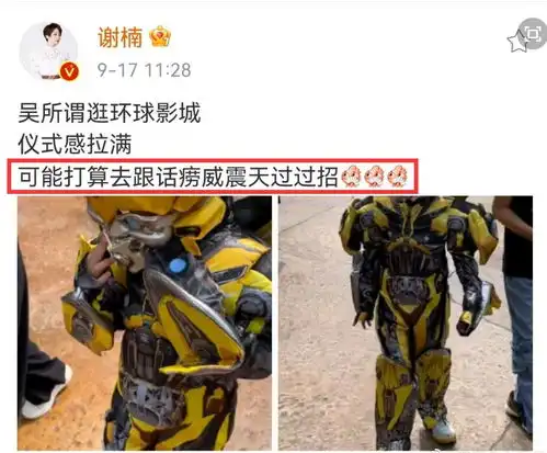 星二代去环球影城戚薇女儿爱米老鼠,佟丽娅儿子装扮潮,吴京儿子扮大黄蜂
