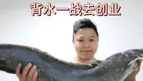 打工是不可能打工的gif表情包在线制作生成器周某窃格瓦拉
