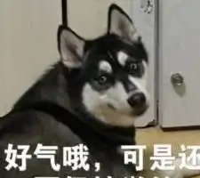 养了2年的哈士奇,为报关笼之仇,对男主人做了这样一件事
