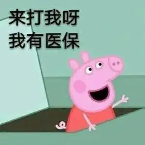财迷猪猪的微博微博
