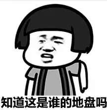 这b装的有点大表情包
