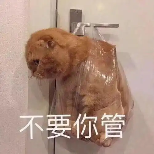 今日份沙雕表情包,都给我进来存

