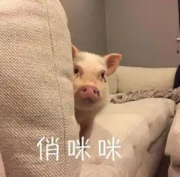 微信恢复好友学会3招,小白用户也能轻松搞定

