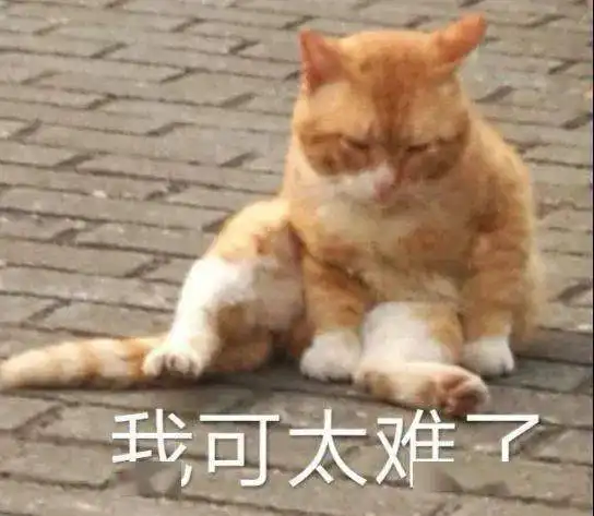 表情包
