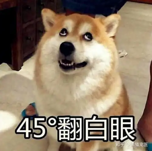 狗狗手术后几天能正常进食
