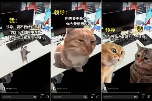 霸榜三平台猫meme踩中三大爆款要素
