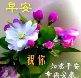适合早上群发的早上好问候语录最新版特漂亮的早上问候表情图片唯美温馨
